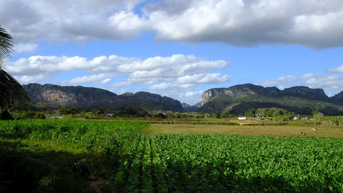 Viñales mit Mogotes