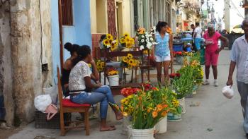 Straße der Blumenhändler
