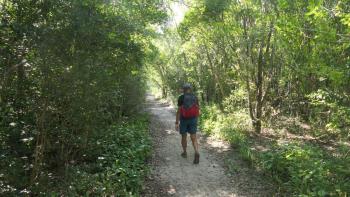 der Wanderweg ist ungepflegt aber schattig