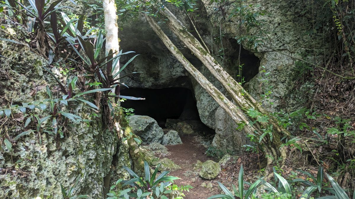 unscheinbarer Eingang zur Cueva del Puente