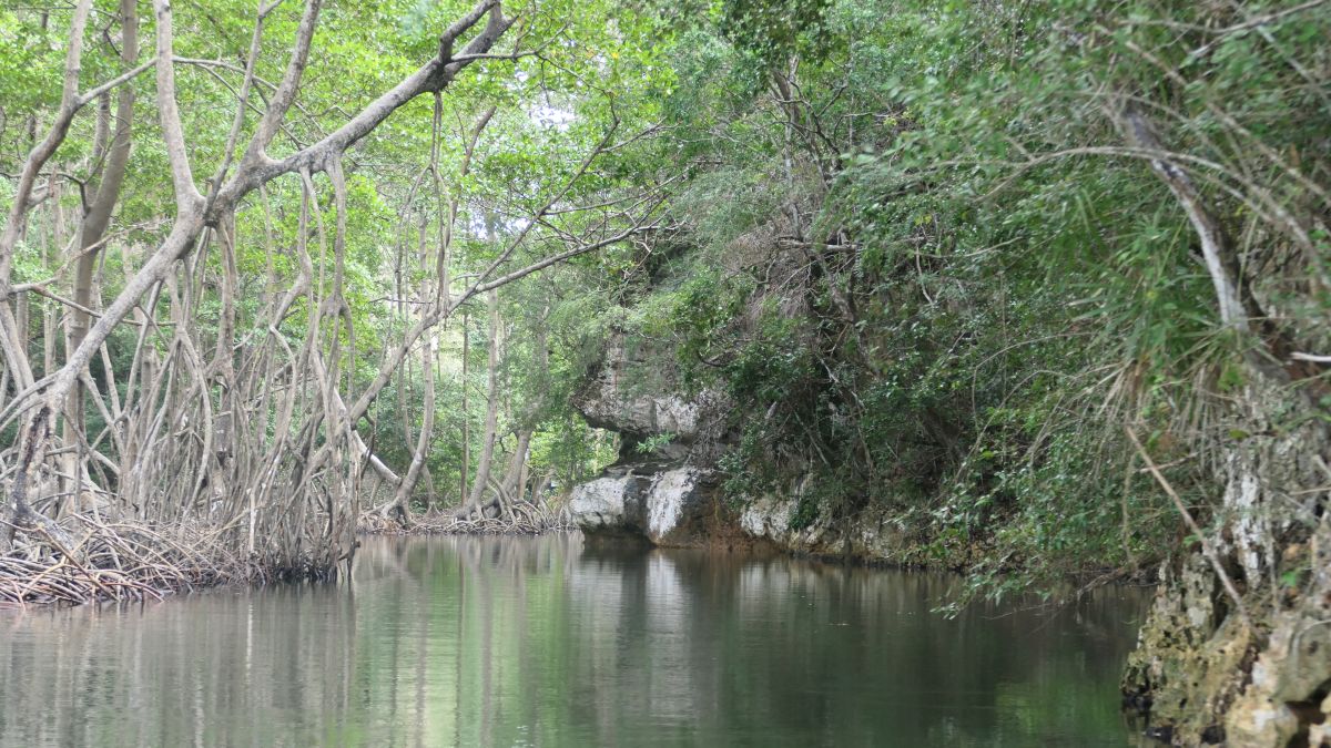 Kanal zum Bootsanleger