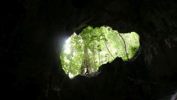 Cueva de la Lechuza Ceniza