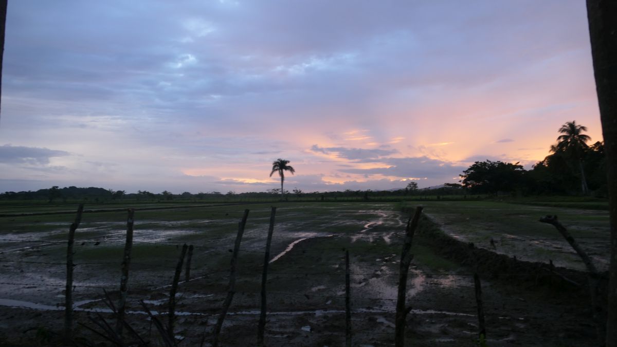 Wanderung im Morgengrauen zum Bootsanleger