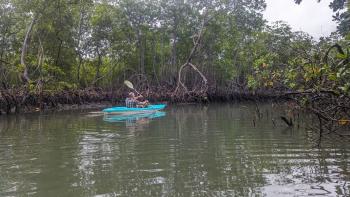 Kanutour durch die Mangoven im Parque Nacional Los Haitises