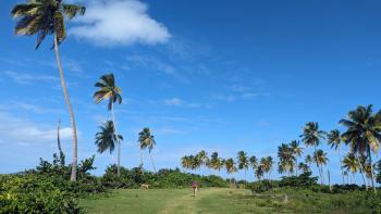 Weg zurück nach Las Galeras