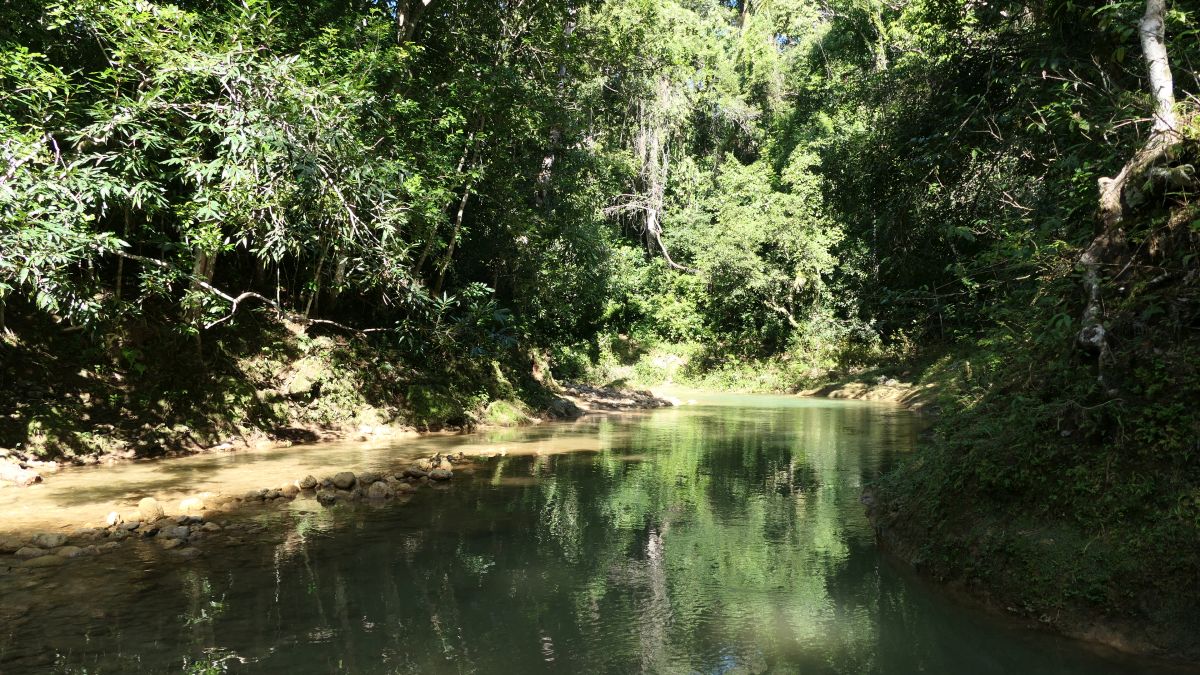 Rio Limón