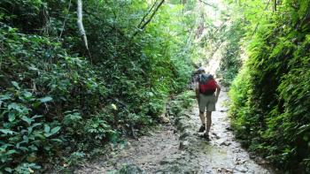 Weg zum Wasserfall