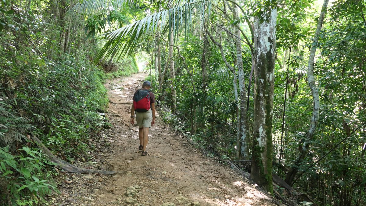 Weg zum Wasserfall