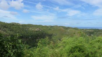 Ausblick nach Norden