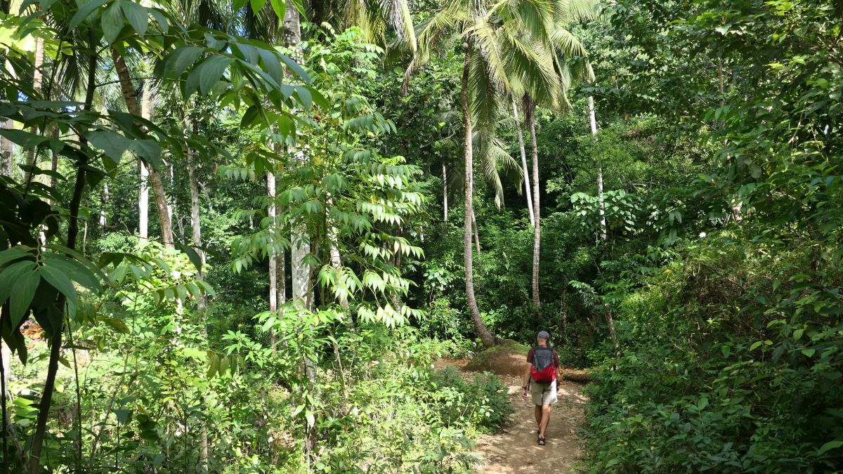 viel Grün wie überall auf Samana