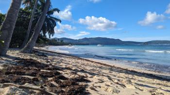 Playa Galeras