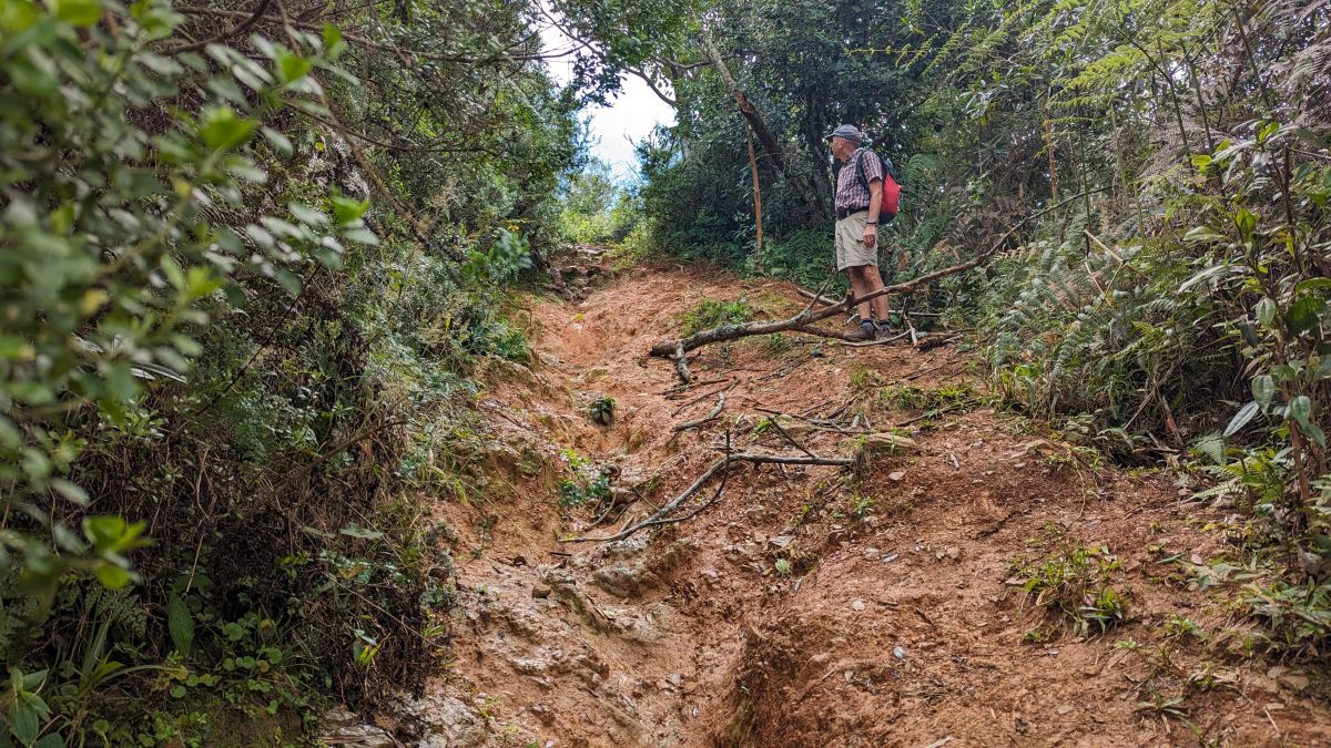 der Wanderweg wird nicht besser