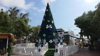 ...und auch ein Plastik-Weihnachtsbaum darf nicht fehlen