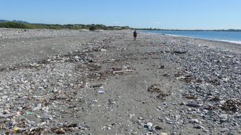 uns wie überall an den nichttouristischen Stränden liegt der Plastikmüll herum