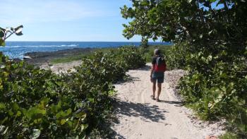 Weg zurück nach Bayahibe