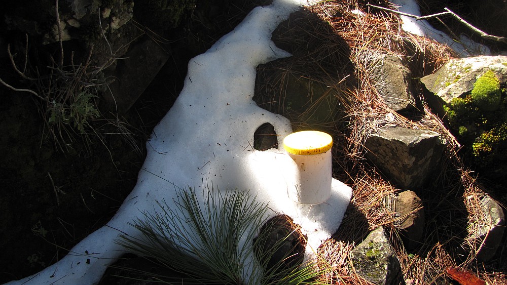 Geocache im Schnee