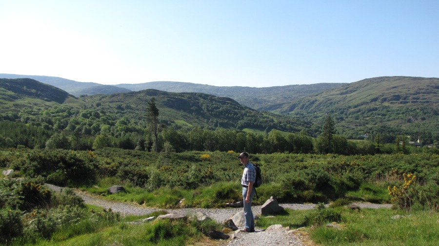 In Irland gibt es mehr Wald als erwartet