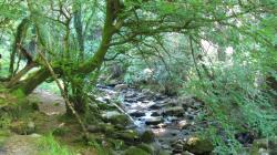 beim Tork-Wasserfall