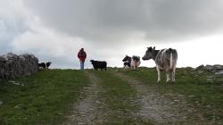 Wanderung auf dem Burren