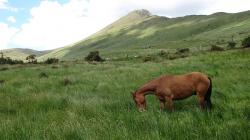 Gegend bei Leenane