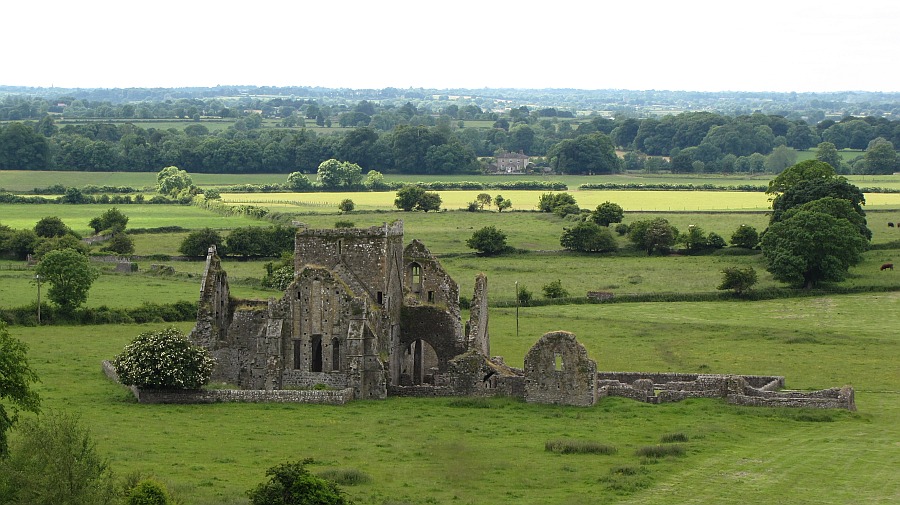 Dominic's Abbey in Cashel