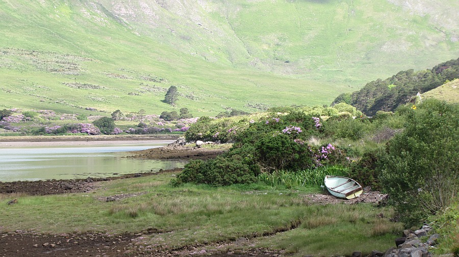 Landschaft am Killary Harbour, Irlands einzigem Fjord