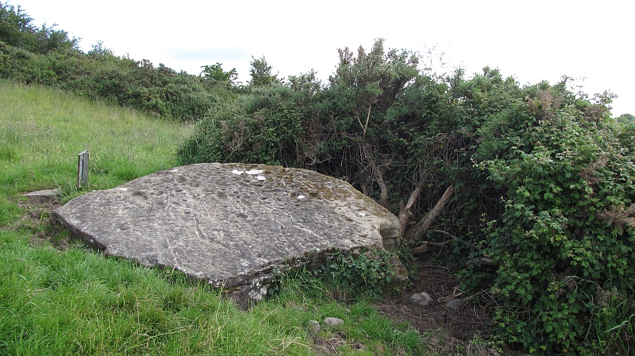 der Clonfinlough Stone, wenig eindrucksvoll aber wohl wichtig für Altertumsforscher