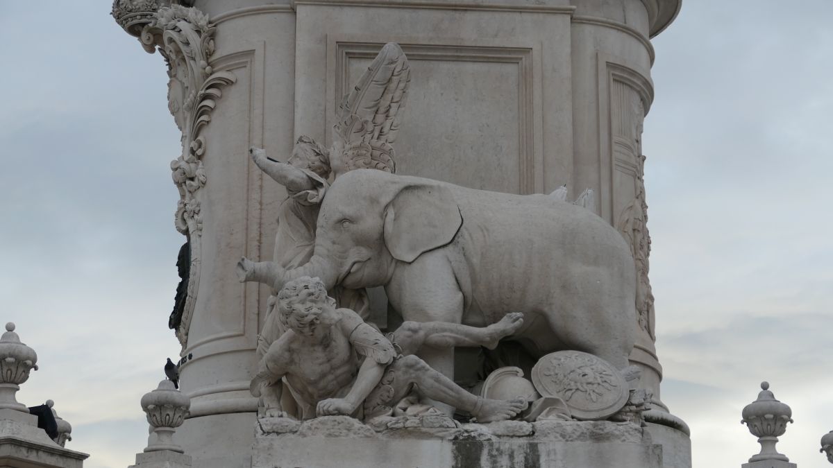 mal was anderes, ein Elefant statt Wolf oder Löwe