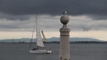 am Tejo