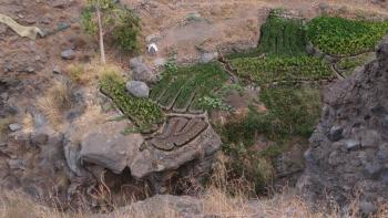 Garten auf überhängendem Felsen
