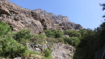 Blick nach oben