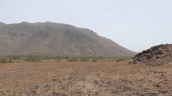 Steppe