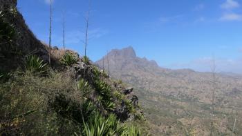 Pico da Antónia (1394 m)