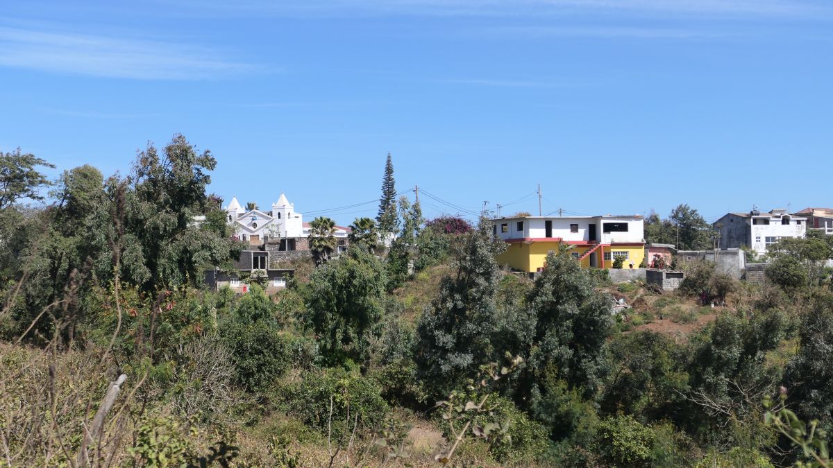Rui Vaz