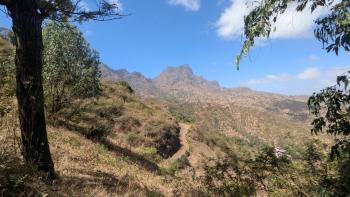 Pico da Antónia