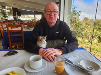 Frühstück mit Katze