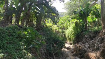 Wanderweg am Talgrund