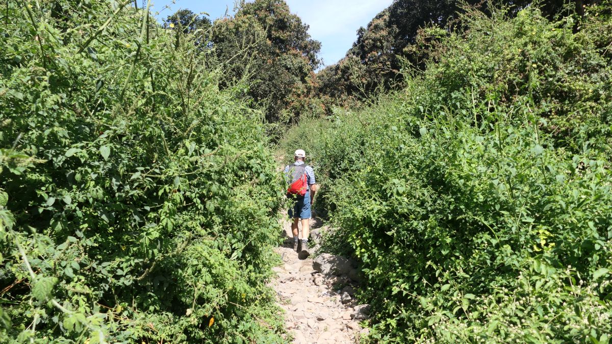 weiter im Talgrund entlang