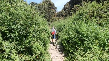 weiter im Talgrund entlang
