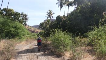Weg durch ein trockenes Bachbett