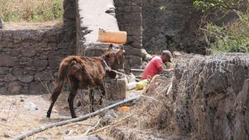 Mann mit Esel an Wasserstelle