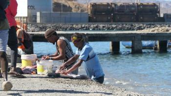 draußen werden Fische ausgenommen und geschuppt