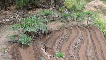 Wasser wird sparsam verwendet
