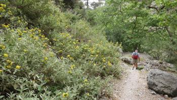 Agia-Irini-Schlucht