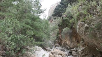 Agia-Irini-Schlucht