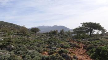 Weg nach Lissos