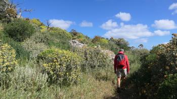 Aufstieg nach Polyrrhenia
