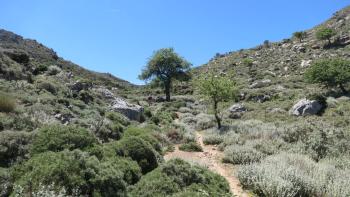 Weg nach Milia