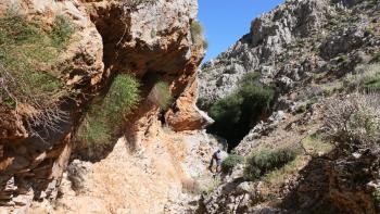 Anopolis-Schlucht