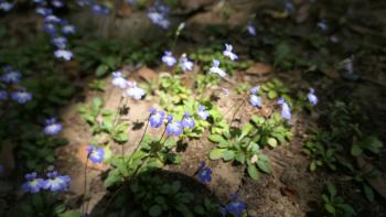 Sirikari-Schlucht und Kioliano-Schlucht